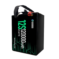 Batterie lithium-ion semi-solide rechargeable à haute densité d'énergie 320wh/kg 120000mah 94000mah pour drone