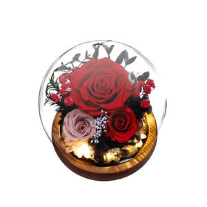 Cadeau <span class=keywords><strong>de</strong></span> la Saint-Valentin, <span class=keywords><strong>roses</strong></span> sous cloche en verre, cadeau pour les meilleures amies, boîte cadeau <span class=keywords><strong>de</strong></span> fleurs éternelles, prix d'usine - Product Image 5