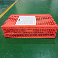 Ferme avicole Poulet de chair Rouge Orange Caisse de transfert Cage de transport en plastique pour poulet adulte Cellule en plastique pour volaille