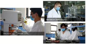 Boîte de transport de Rat gris/acylgris, Kit ELISA - Product Image 3