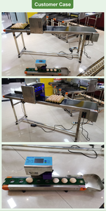 Machine d'impression à code <span class=keywords><strong>de</strong></span> date pour œufs <span class=keywords><strong>de</strong></span> poulet, <span class=keywords><strong>de</strong></span> <span class=keywords><strong>canard</strong></span> et d'oie, machine d'estampage, imprimante à jet d'encre pour œufs, vente en gros - Product Image 6