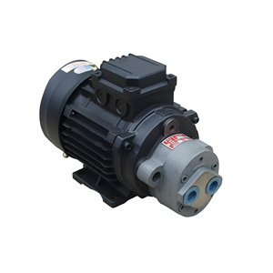 CBW Direktanschluss-Hydraulikzahnradpumpen-Motoreinheit aus Gusseisen für Werkzeugmaschinen-Schmierung - Product Image 1