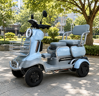 Tricycle électrique intelligent 500W à 12 tubes avec double télécommande et alarme, idéal pour les courses quotidiennes en ville des personnes âgées - Vente chaude