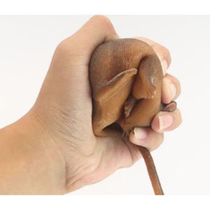 Bienvenido OEM personalizado simulado 3D Reptilia animales modelo plástico goma TPR suave ratón juguete para venta al por mayor - Product Image 3