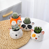 Pot de fleurs en céramique pour plantes succulentes, petit pot de fleurs en forme d'animal mignon, renard, panda, chien, chat