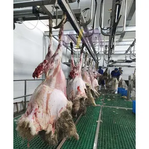 Proyek penyembur kambing profesional 800 domba Per pergeseran garis konveyor pemrosesan domba untuk rumah pemotongan domba