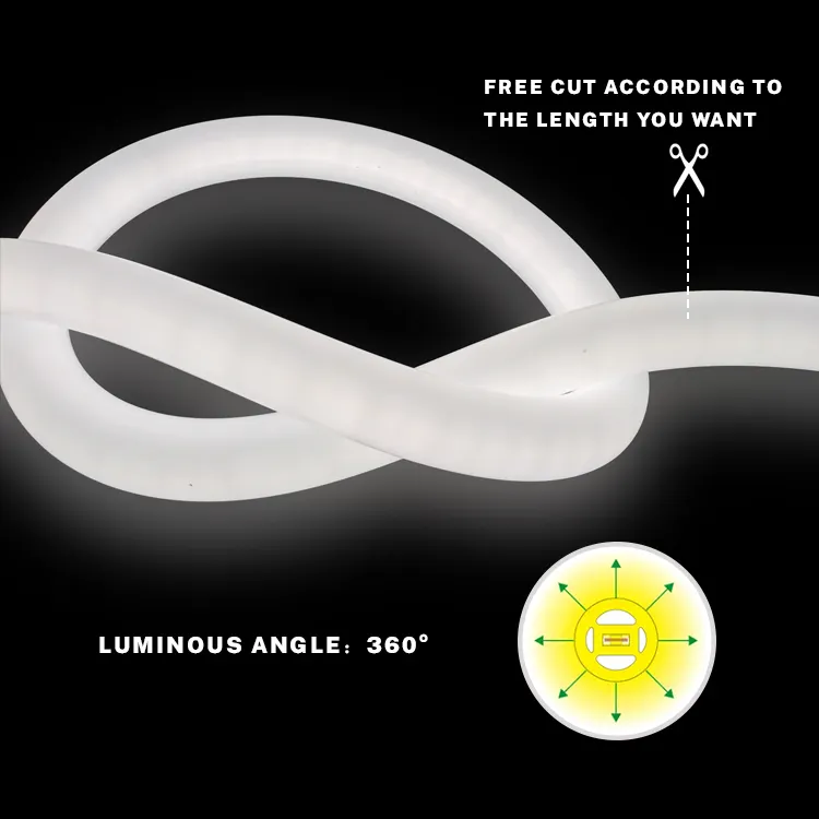 Neuankömmling Benutzer definierte Leucht reklame Silikon Dekoration Outdoor Flexible IP67 Wasserdichte 24V Neon LED Licht leiste