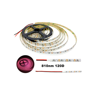 Tira de Luz LED Flexible SMD 3528 Infrarroja IR 810nm DC12V 48W 600LED 120 LED/<span class=keywords><strong>m</strong></span> IP20 para Terapia de la Piel - Product Image 1