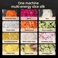 Commerciële automatische groentesnijder, multifunctionele machine voor het snijden, raspen en in blokjes snijden van aardappelen, groenten en fruit