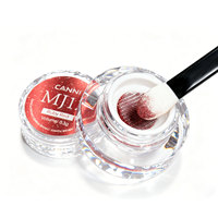 12 pièces/lot Poudre Métallique Chrome CANNI pour Nail Art, Effet Miroir, Pigment Métallique, Poudre Chrome avec Top Coat et Pinceau
