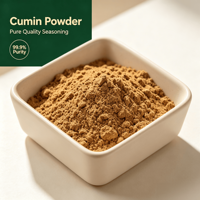 Poudre de cumin naturelle de qualité supérieure pour assaisonnement de curry et barbecue
