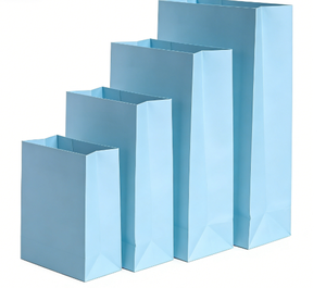 Sac en papier kraft biodégradable blanc 80-100 g/m² 6 lb avec poignée Flexiloop, sans odeur chimique, étiquette 3 kg pour bougies, artisanat, cadres photo - Product Image 1