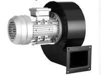 Ventilador Centrífugo de Tiro Inducido DF-11 de 550W, Resistente a Altas Temperaturas, 2800r/min, para Estufas de Calefacción y Extracción de Polvo