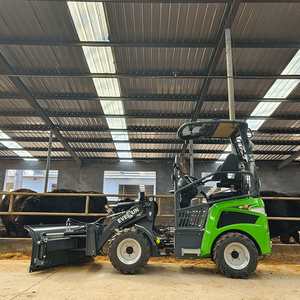 Everun điện nhỏ gọn loader Máy er08e 1t <span class=keywords><strong>Mini</strong></span> phía trước pin trang trại radlader bánh xe loader - Product Image 4