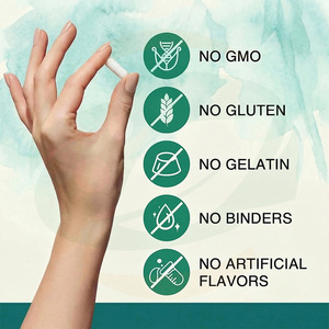 Capsules de soutien hépatique et intestinal TUDCA à base de plantes chinoises, formule naturelle à absorption facile, complément alimentaire quotidien pratique pour adultes - Product Image 4