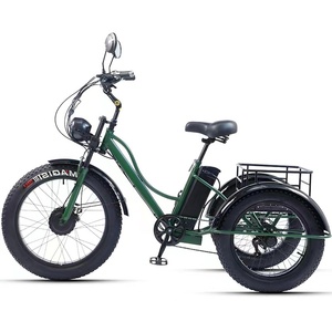 Nouveau tricycle électrique à 3 roues pour personnes âgées, <span class=keywords><strong>2</strong></span> places, moteur avant 750W, batterie lithium, 7 vitesses, pneus larges - Product Image 3