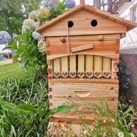 Preiswerte, heiß verkaufte automatische mobile Bienenstöcke, ausgestattet mit einer wasserdichten und feuchtigkeit beständigen Cedar Honeycomb Brooder Box.