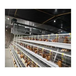 Design Commercial A Type Broiler Chicken Cages For Sale Chicken Meat Broiler Cages with Poultry Feeding Trough