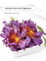 Thé de fleurs de lotus bleues séchées naturellement en sachets, thé santé au parfum délicat pour la vitalité et les soins de la peau