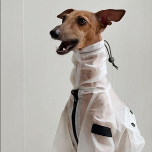 Chaqueta <span class=keywords><strong>de</strong></span> lluvia para <span class=keywords><strong>perro</strong></span>, mono con bolsillo para exteriores, impermeable transparente resistente al <span class=keywords><strong>agua</strong></span> para <span class=keywords><strong>perro</strong></span> grande - Product Image 3