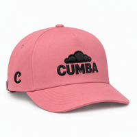 Gorra de Béisbol de 5 Paneles con Etiqueta Privada, Logotipo Personalizado Bordado en 3D para Marcas de Ropa y Colecciones Minoristas