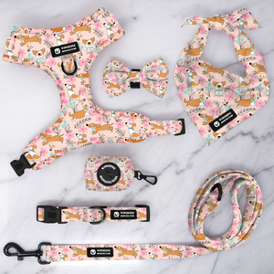 Accesorios de Lujo para Cachorros con Diseño de <span class=keywords><strong>Dachshund</strong></span>, Collar Personalizado para Perro, Conjunto de Arnés y Correa Personalizados para Mascotas - Product Image 4