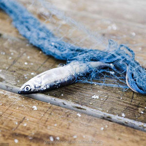 Visnet, Nylon Monofilament Kieuwnet Met Vlottervisvanger Voor Liefhebbers Van Zoutwaterscholen - Product Image 4