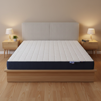 Skylee 4D King/Queen Size Air Nest POE Polymer Matratze - Umweltfreundlich Wasserabweisend für Hotel-Schlafzimmer mit Abnehmbarem Bezug