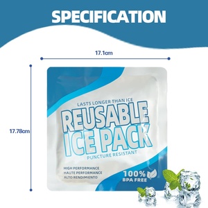 Tái Sử Dụng Ăn Trưa Giữ Lạnh Đông Lạnh Đồ Uống Giữ Mát Lưu Trữ Rollable Giao Hàng Túi Nước Đá Cho Hộp Ăn Trưa Và Túi Lạnh - Product Image 3