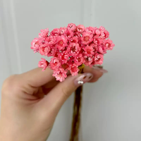 Nouvel arrivage : Populaire fleur séchée brésilienne Starflower, petite marguerite pour couronnes, matériaux de décoration DIY pour la maison
