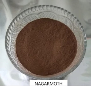 Natural Wild Nagarmotha <b>Powder</b> Dried Herbal Root Fine <b>Texture</b> Plant Based Ingredient Pure Raw Form Daily Use Food Grade - Product Image 2