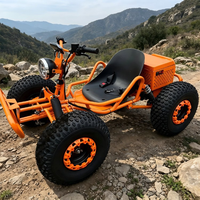 Kart électrique haute performance 48V 1000W avec transmission par arbre, autonomie 35-40 km, pour la conduite tout-terrain en extérieur
