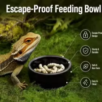 Bol d'alimentation en céramique anti-évasion pour vers de farine, larves de mouches, grillons, caméléons et tortues – Facile à nettoyer