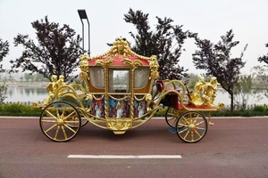 Chariot de Mariage Électrique Royal de Luxe Marque Zhenda, Origine Henan, Prix Usine, Personnalisable, Autres Puissances - Product Image 6