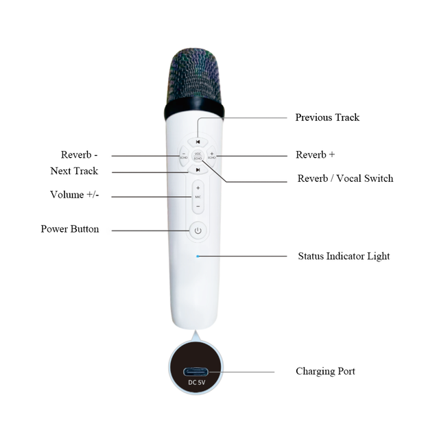 High Quality Double Speaker Bluetooth Wireless Microphone Portable Karaoke Speaker with KTV Function for Track Speaker Systems