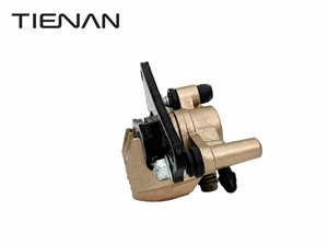 Étrier <span class=keywords><strong>de</strong></span> <span class=keywords><strong>frein</strong></span> <span class=keywords><strong>de</strong></span> moto, style <span class=keywords><strong>NISSIN</strong></span>, doré, hydraulique avant, 2 pistons, étrier <span class=keywords><strong>de</strong></span> <span class=keywords><strong>frein</strong></span> à disque pour Honda Yamaha Suzuki Kawasaki - Product Image 4