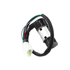 Interrupteur d'allumage universel Dayang pour moto, avec clés, pour motos de route, tout-terrain et dual sport, construction métallique - Product Image 4