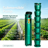 Pompe à eau submersible agricole pour puits profond, centrifuge multi-étages, en fer, avec alimentation électrique