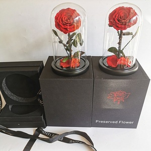 <span class=keywords><strong>Rosas</strong></span> <span class=keywords><strong>Preservadas</strong></span> <span class=keywords><strong>en</strong></span> Cúpula de Cristal, Más Vendidas, Disponibles <span class=keywords><strong>en</strong></span> Todos los Colores - Product Image 4