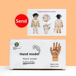Modelo de Masaje Manual para Niños, 17 cm, Material de PVC, Reflexología, Puntos de Acupuntura, Masaje Pediátrico, Terapia de Meridianos, Referencia para el Hogar - Product Image 2