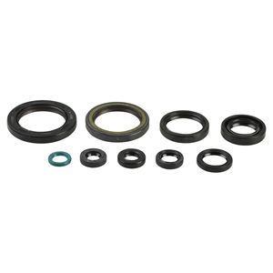 Kit de Juntas de Retén para Aceite de Motor - Product Image 1