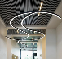 Bespoke Snake S Curve Éclairage linéaire Studio Light Lampe de table