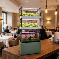 Système aquaponique vertical automatique Seedafarm pour balcon, pour la culture à domicile de légumes et de fraises avec pompe