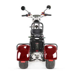 Scooter Eléctrico Plegable Inteligente de <span class=keywords><strong>Tres</strong></span> <span class=keywords><strong>Ruedas</strong></span> con Doble Motor de 4000W, Resistente al Agua, con Batería de Litio, 2026 - Product Image 6