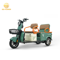 Tricycle électrique d'usine pour personnes âgées avec moteur 800W Batteries 48V Véhicule électrique à 3 roues pour une utilisati