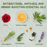 Lot de 6 Huiles Essentielles Composées de Graines de Valériane 10ml pour Diffuseurs de Parfum et Fabrication de Bougies, Améliorant le Sommeil, 100% Naturelles