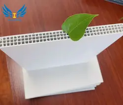 Trung Quốc PVC ván khuôn nhựa cho ván khuôn bê tông ván ép giá 15mm 18mm 21mm tấm nhựa của ván khuôn nhựa - Product Image 5