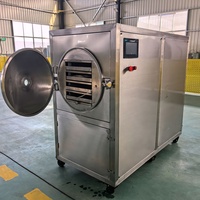 30kg Commerciële Fruit Vacuümvriesdroger Lyofilisator Vriesdroogapparatuur voor Bloemen