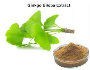 Best Quality Factory Supply Bulk Organic <strong>Ginkgo</strong> Biloba <strong>Extract</strong> on Sale - Product Image 3