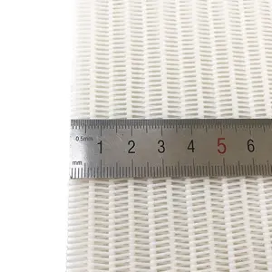 New product explosion large loop white polyester spiral dryer fabric for drying packing paper